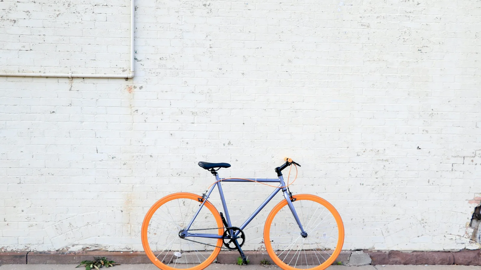 Bike Rental Pricing: Hourly, Daily and Weekly Rates That Add Up