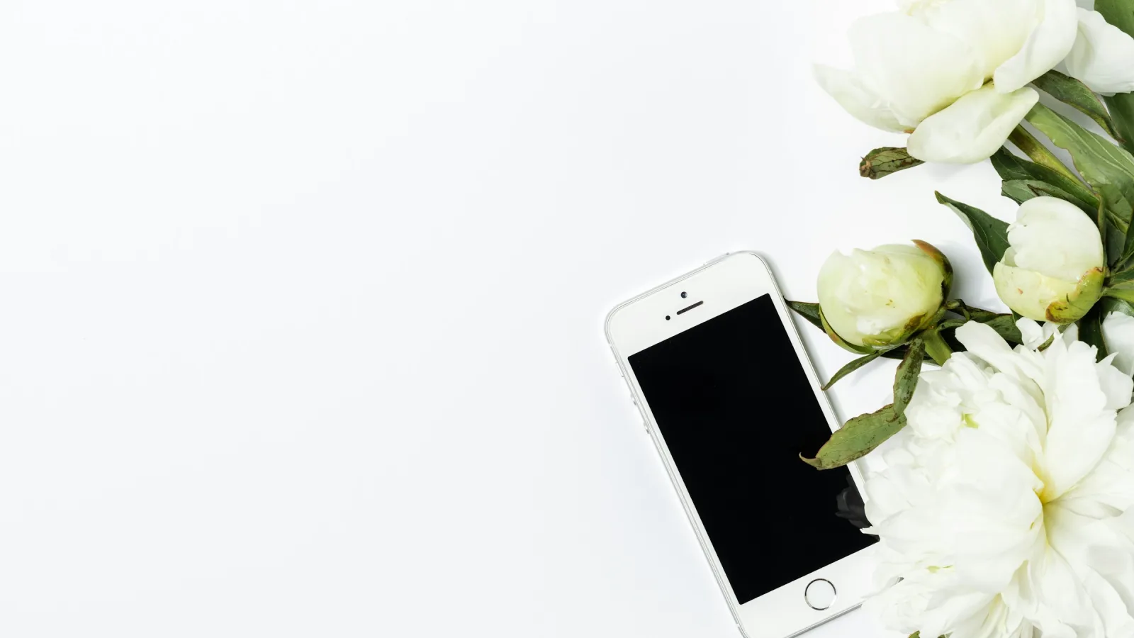 Do You Still Need a Website If You Have Instagram?