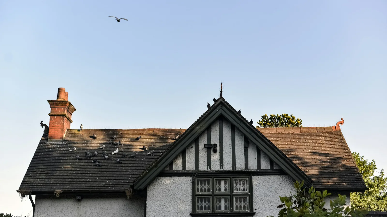 Seasonal Pricing for a Holiday Let: High, Shoulder and Off-Peak