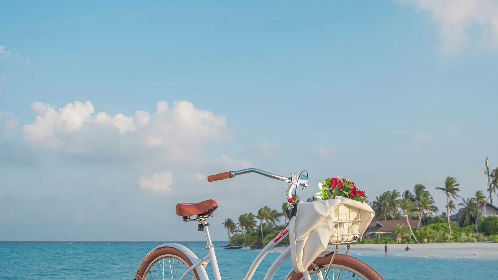 How to Take Bike Rental Bookings Online (and Retire the Paper Diary)