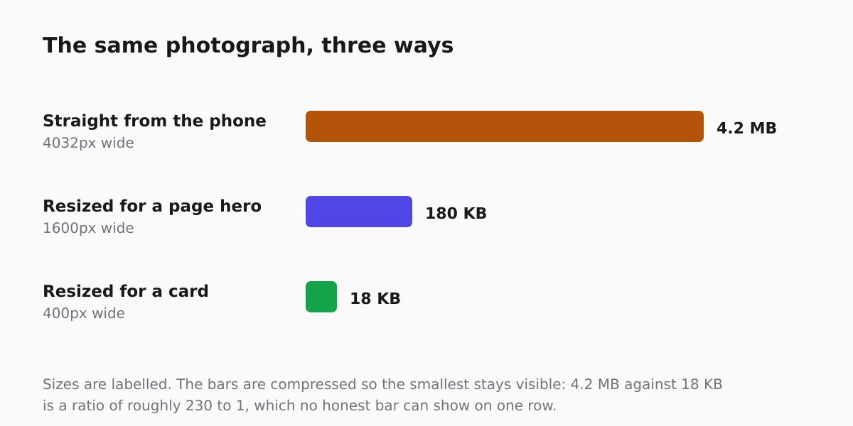 The same photograph at three sizes: the file a page needs is far smaller than the one the camera produced