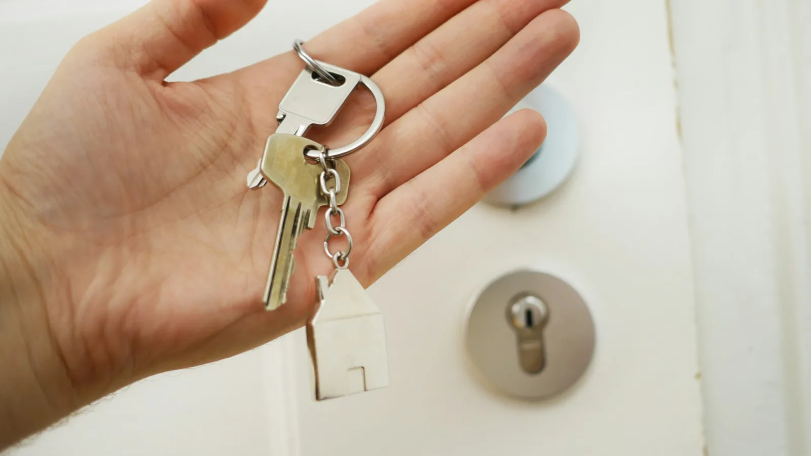 Who Owns Your Website? Domain, Content and What Happens If You Leave