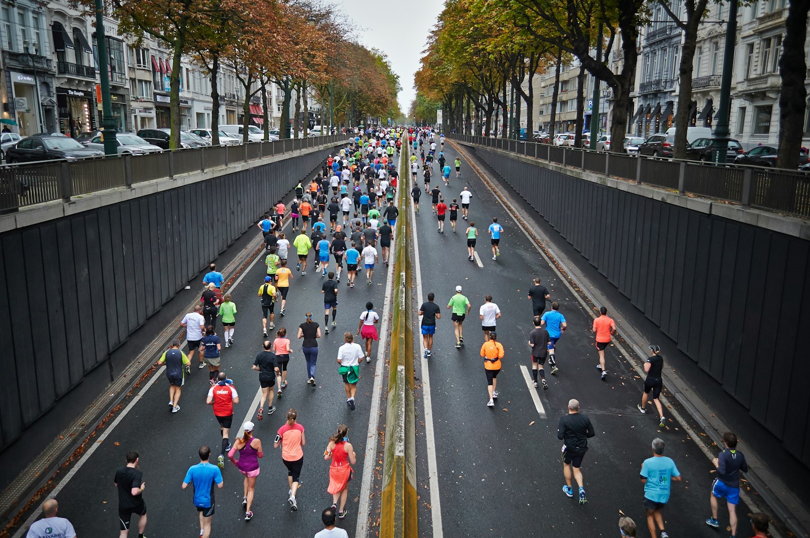 A mass of runners on a tree-lined road from above