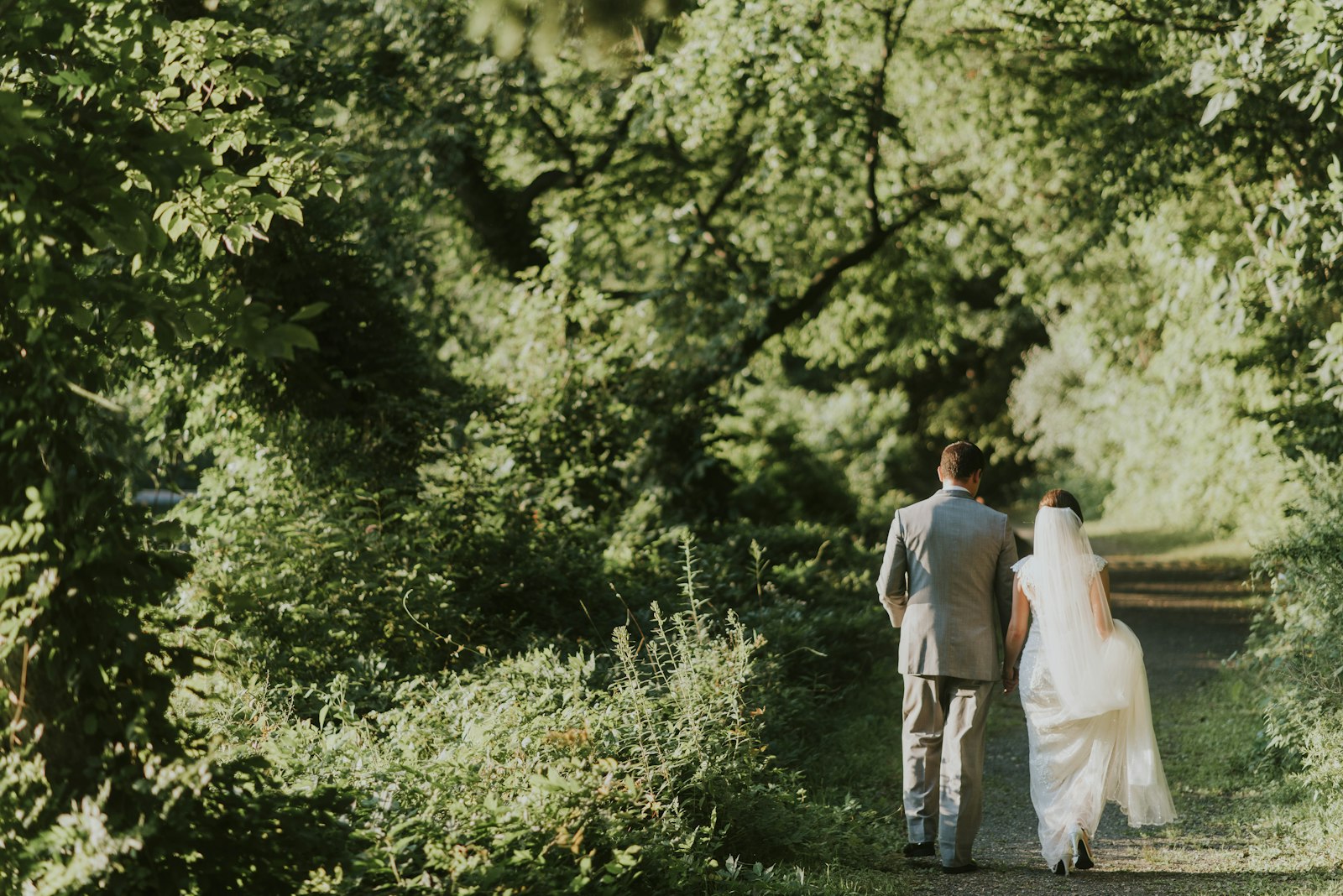 A couple seen from behind walking along a woodland path