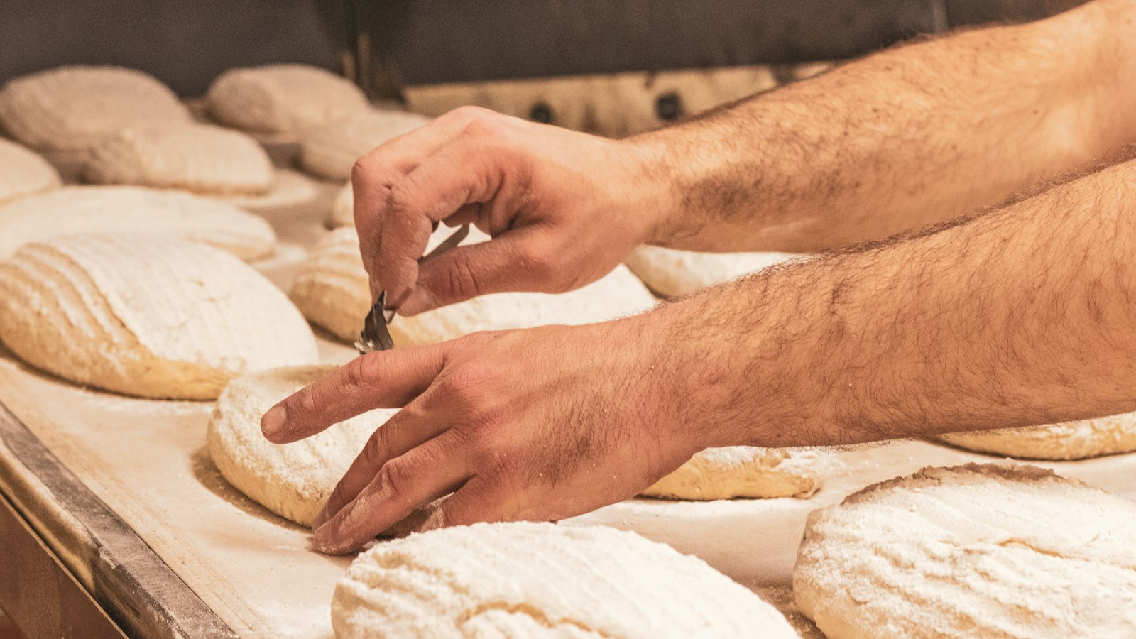 Hands scoring a row of floured loaves