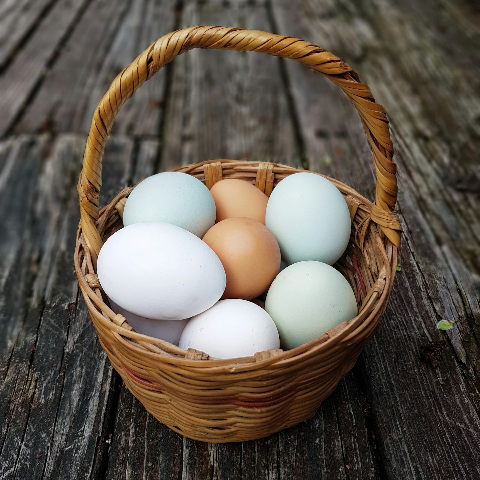 A basket of blue, white and brown eggs