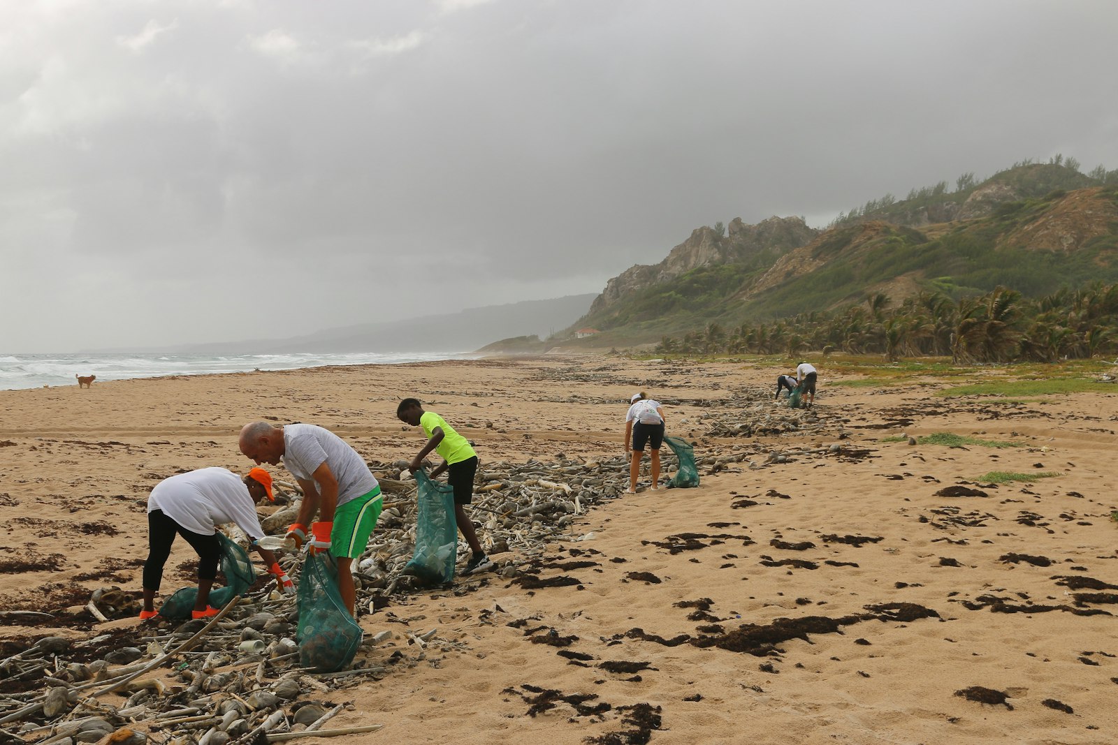 Volunteers bagging washed-up litter along a shoreline