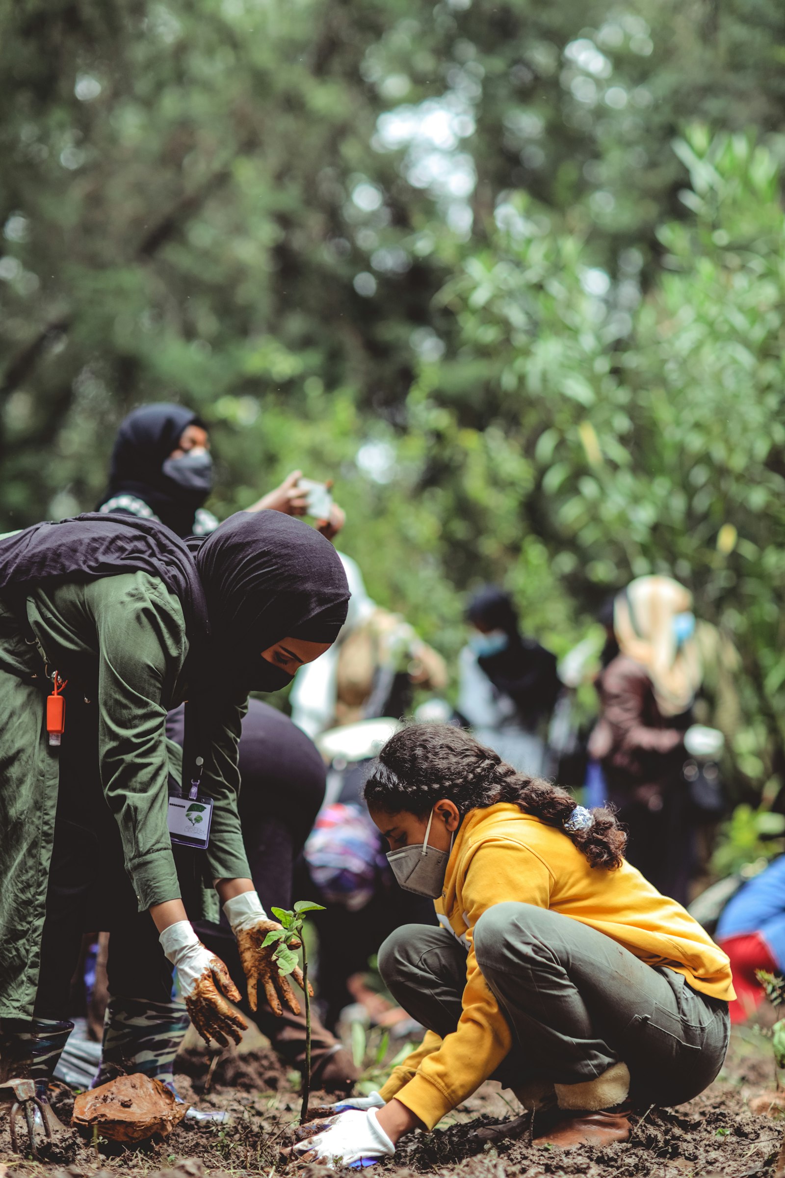 A woman and a girl planting a sapling among volunteers