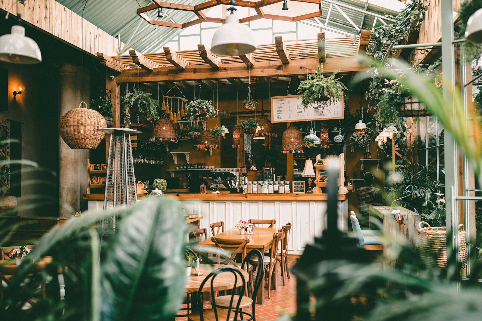 A glasshouse dining room full of hanging plants