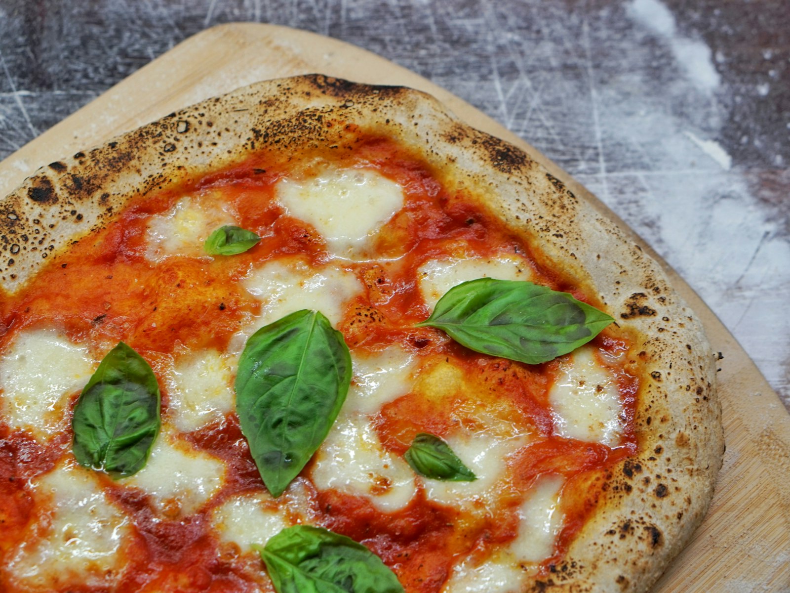 A leopard-spotted margherita with basil