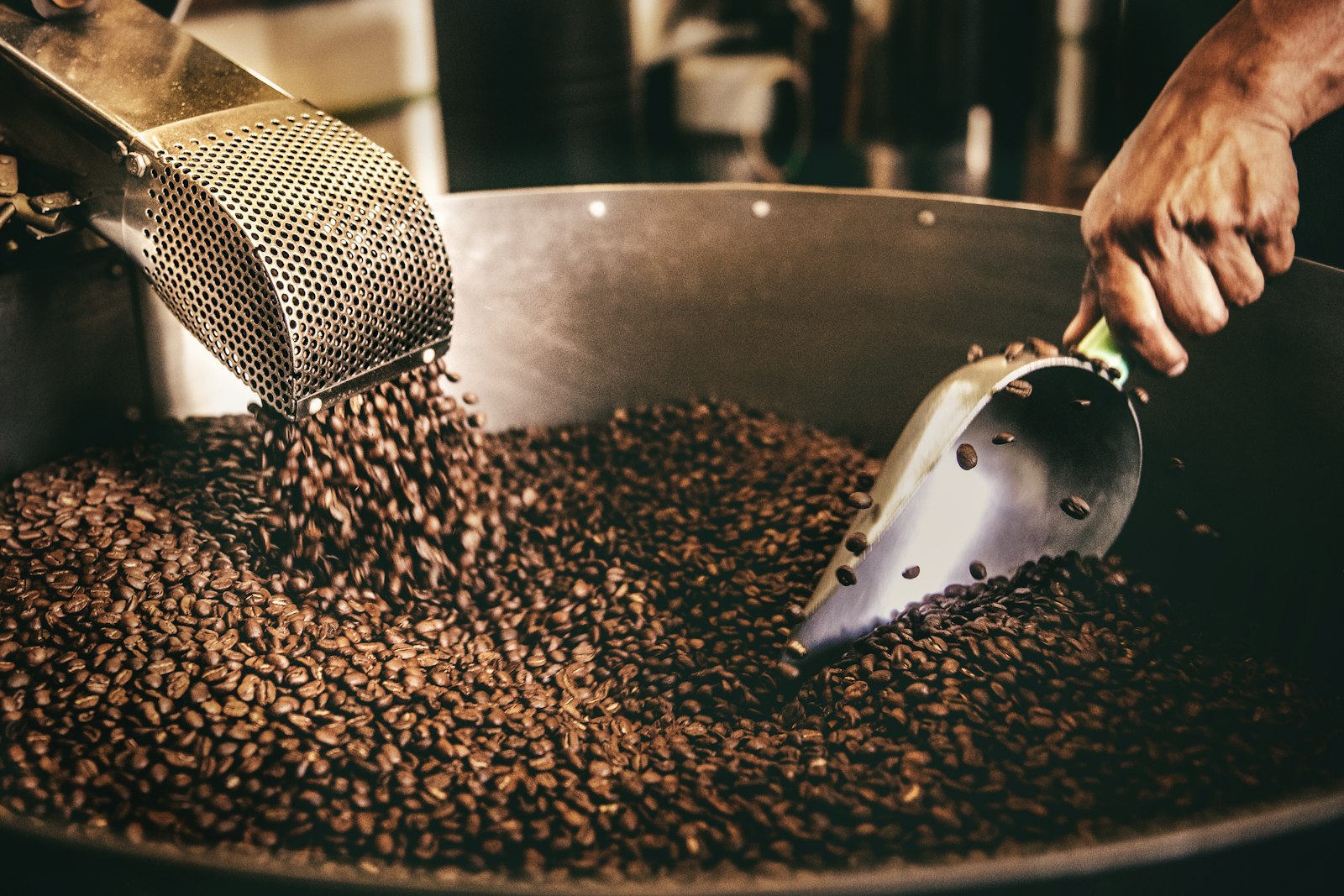 Freshly roasted beans in a cooling tray