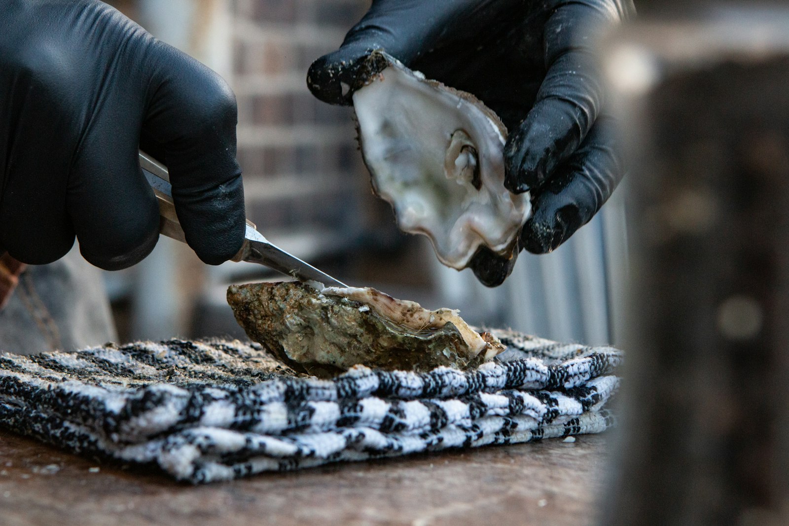 Gloved hands shucking an oyster with a knife