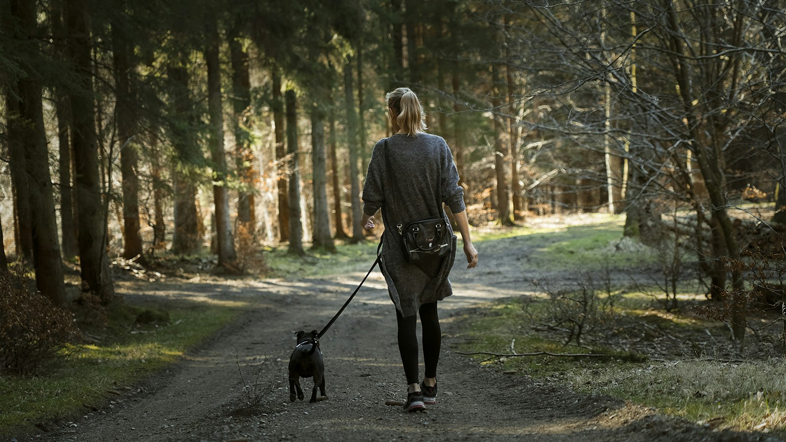 A woman walking a black labrador on a woodland path