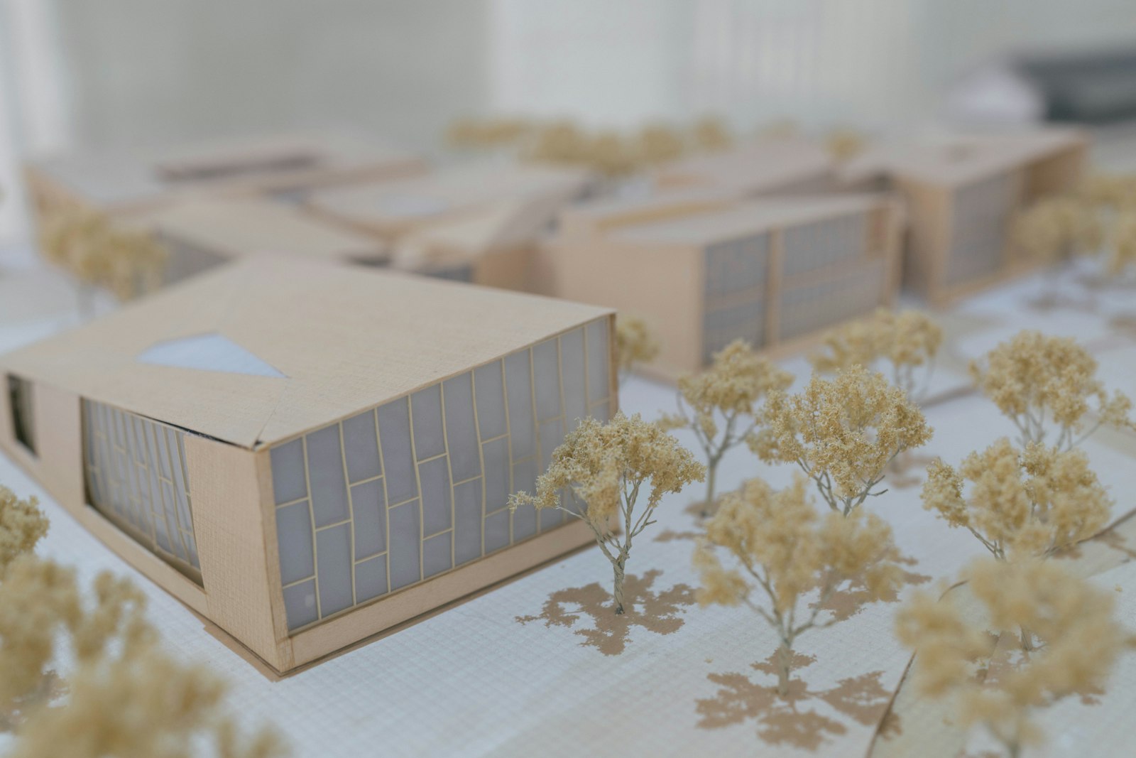 A card and timber site model among model trees