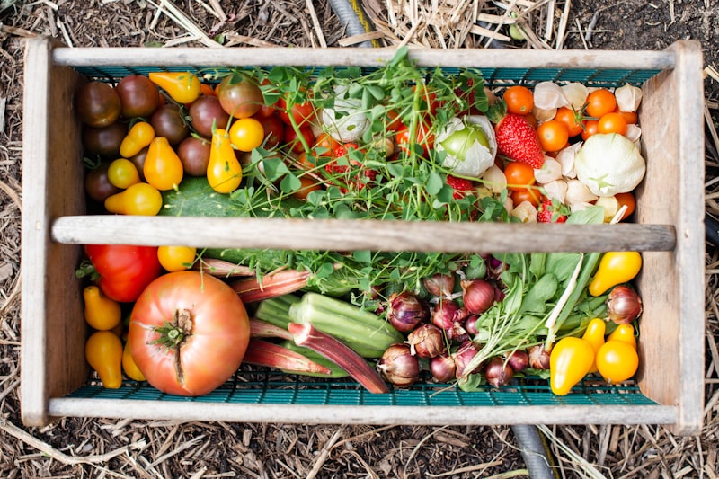 Weekly Veg Box - Large