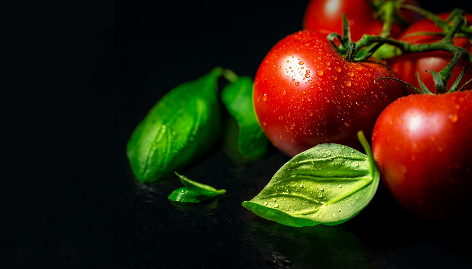 Vine tomatoes and basil leaves