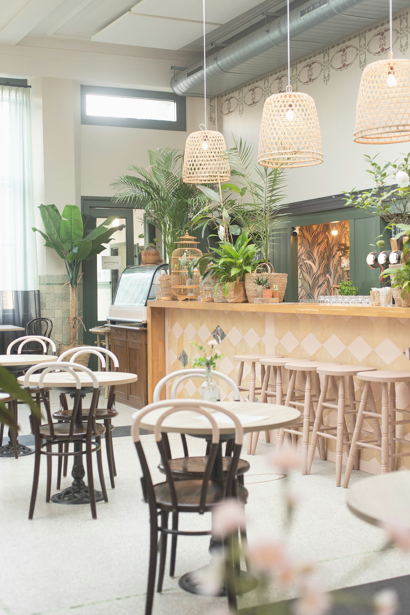 A bright cafe with plants and bentwood chairs
