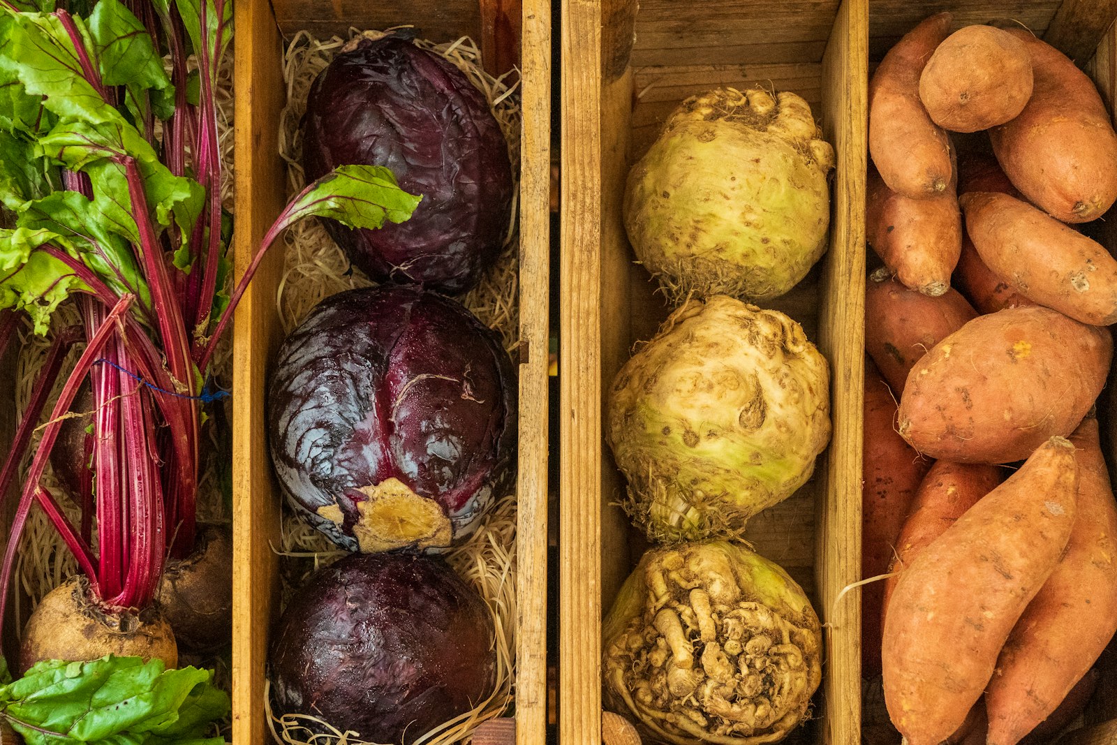 Crates of red cabbage, celeriac and beetroot on straw