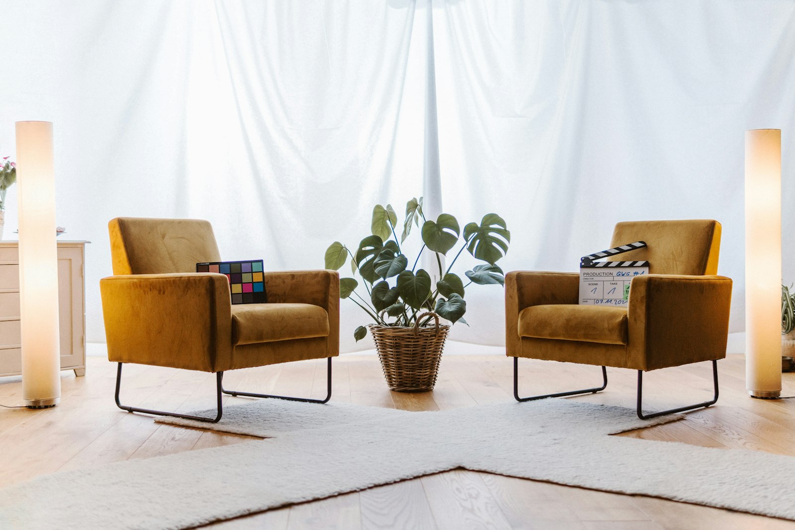 A small bright room with two mustard armchairs facing each other and a potted monstera between them