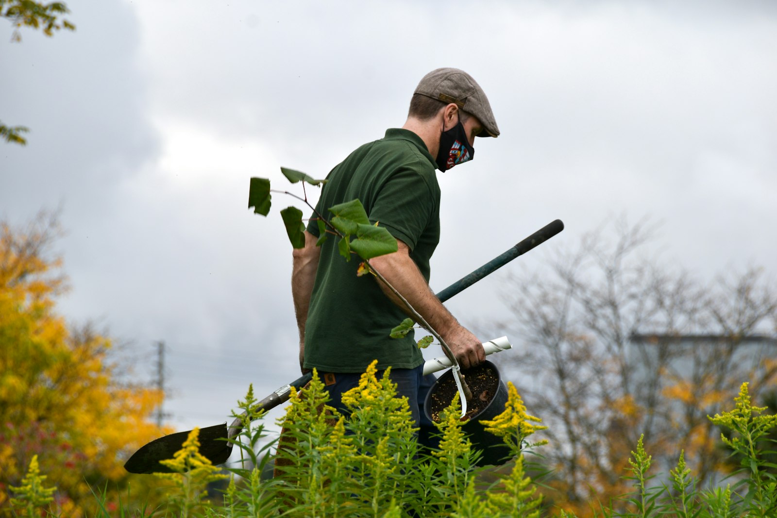 A man carrying a sapling and tools through tall wildflowers