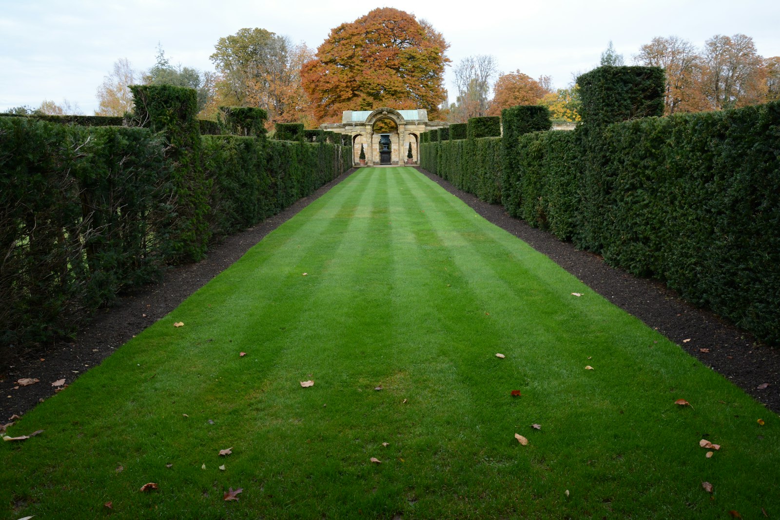 A long striped lawn running between clipped hedges