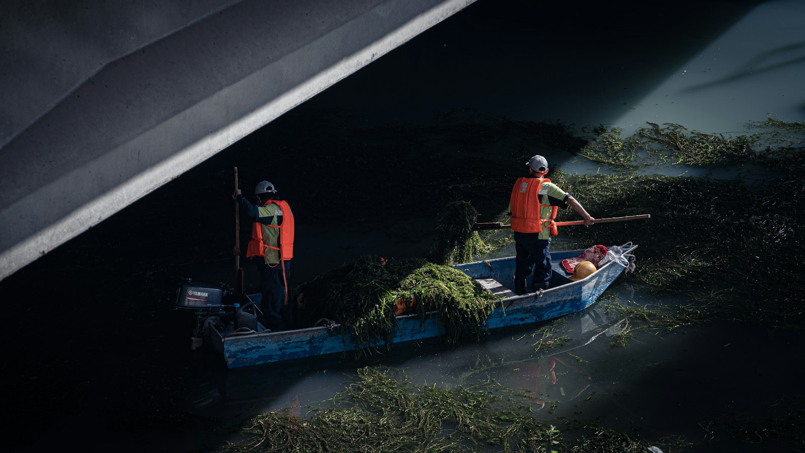 Two workers on a small boat clearing weed from a canal