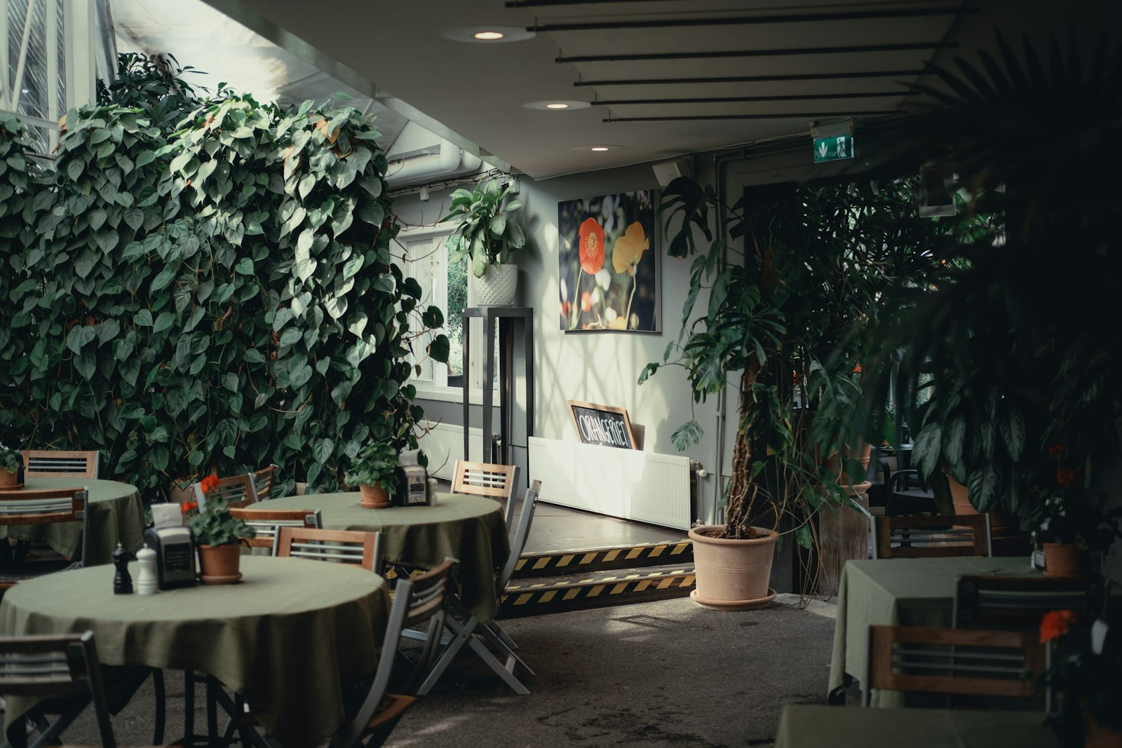 The quiet room: fixed desks against a wall of ivy