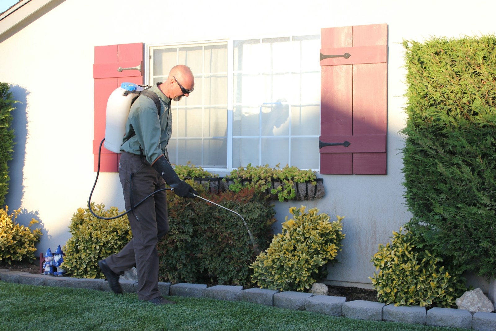 A technician with a backpack sprayer treating the border along a house wall