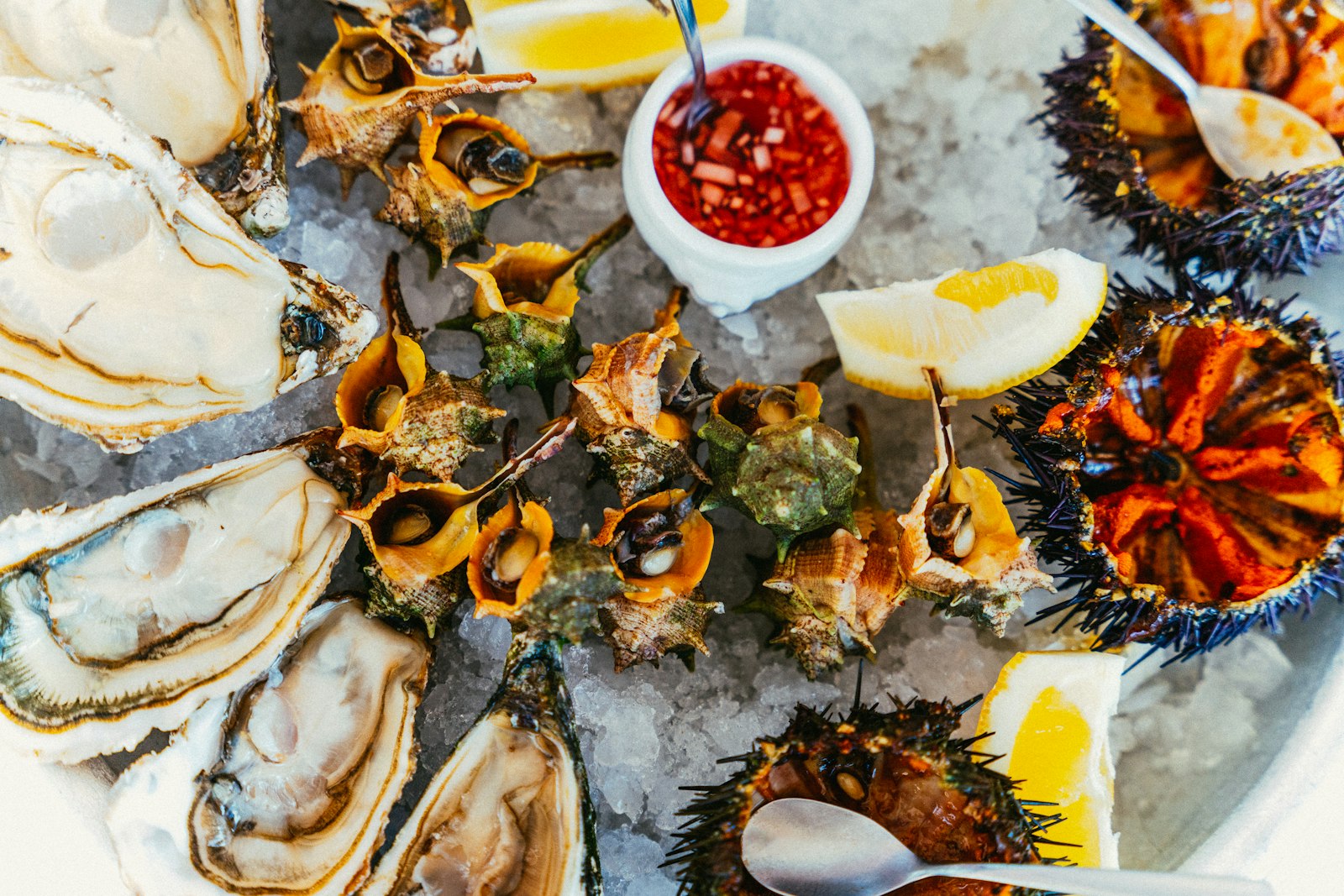 A seafood platter of oysters, sea snails and urchins on ice