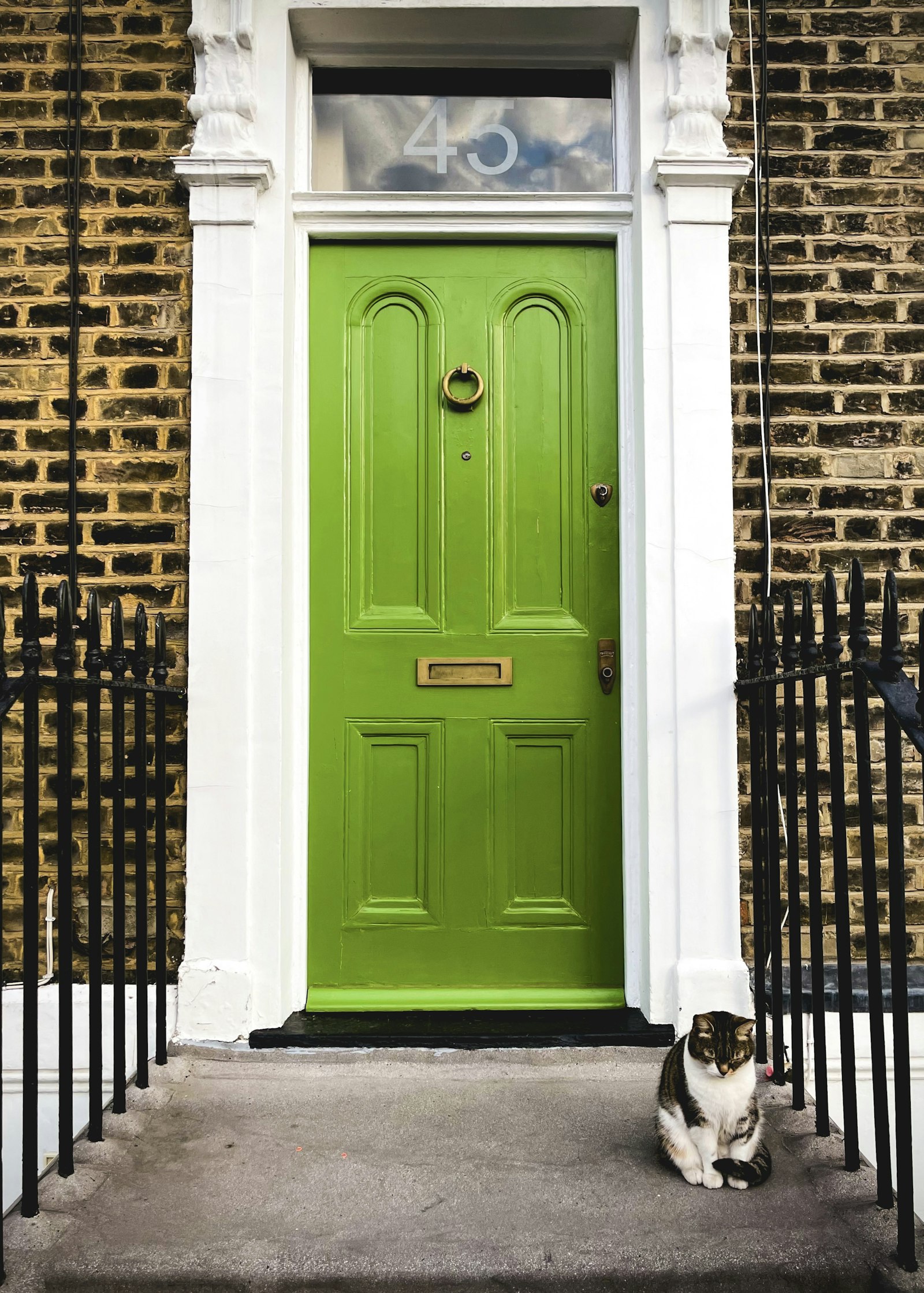 A green front door with railings and a cat on the step