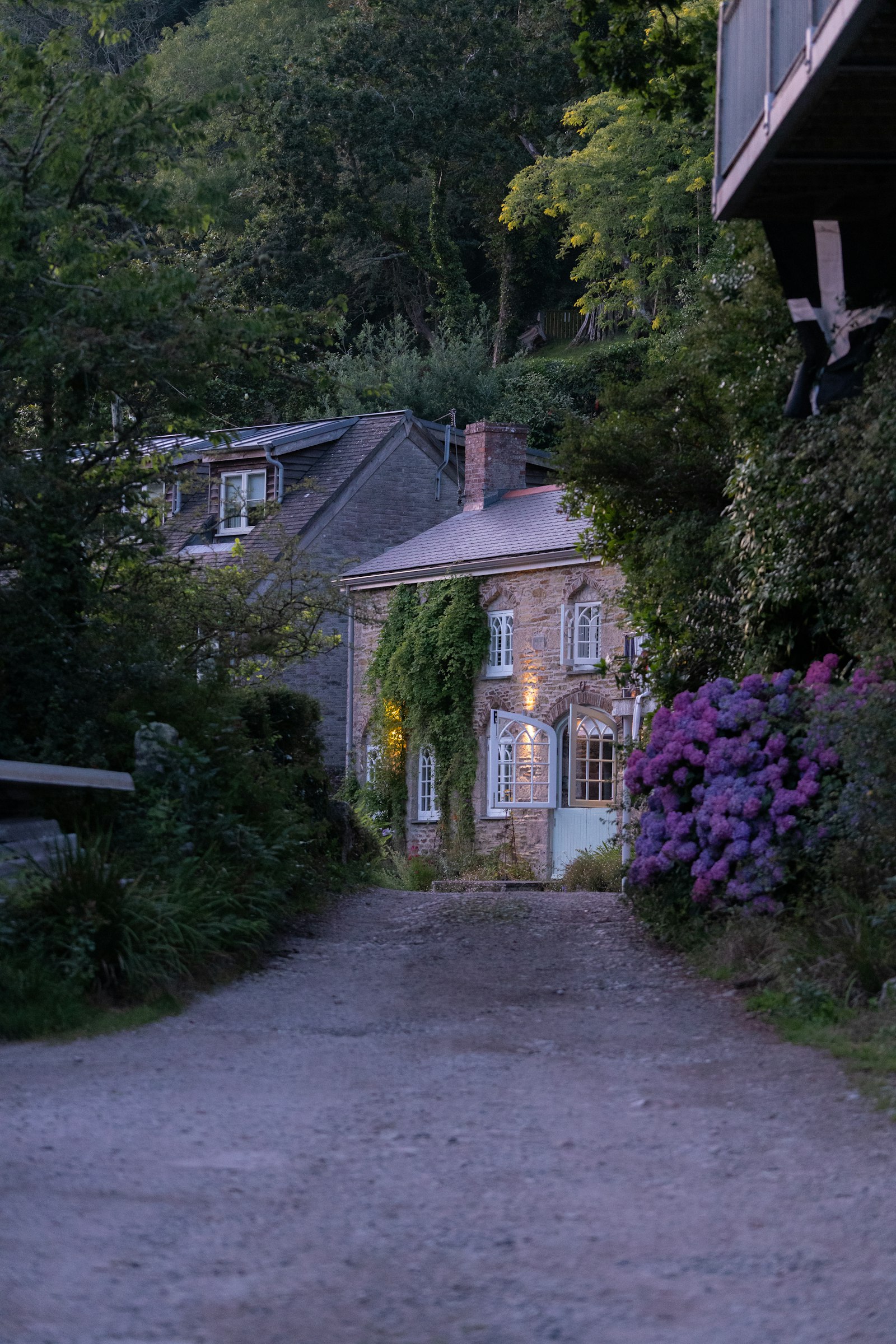 A lane leading to a stone cottage framed by hydrangeas