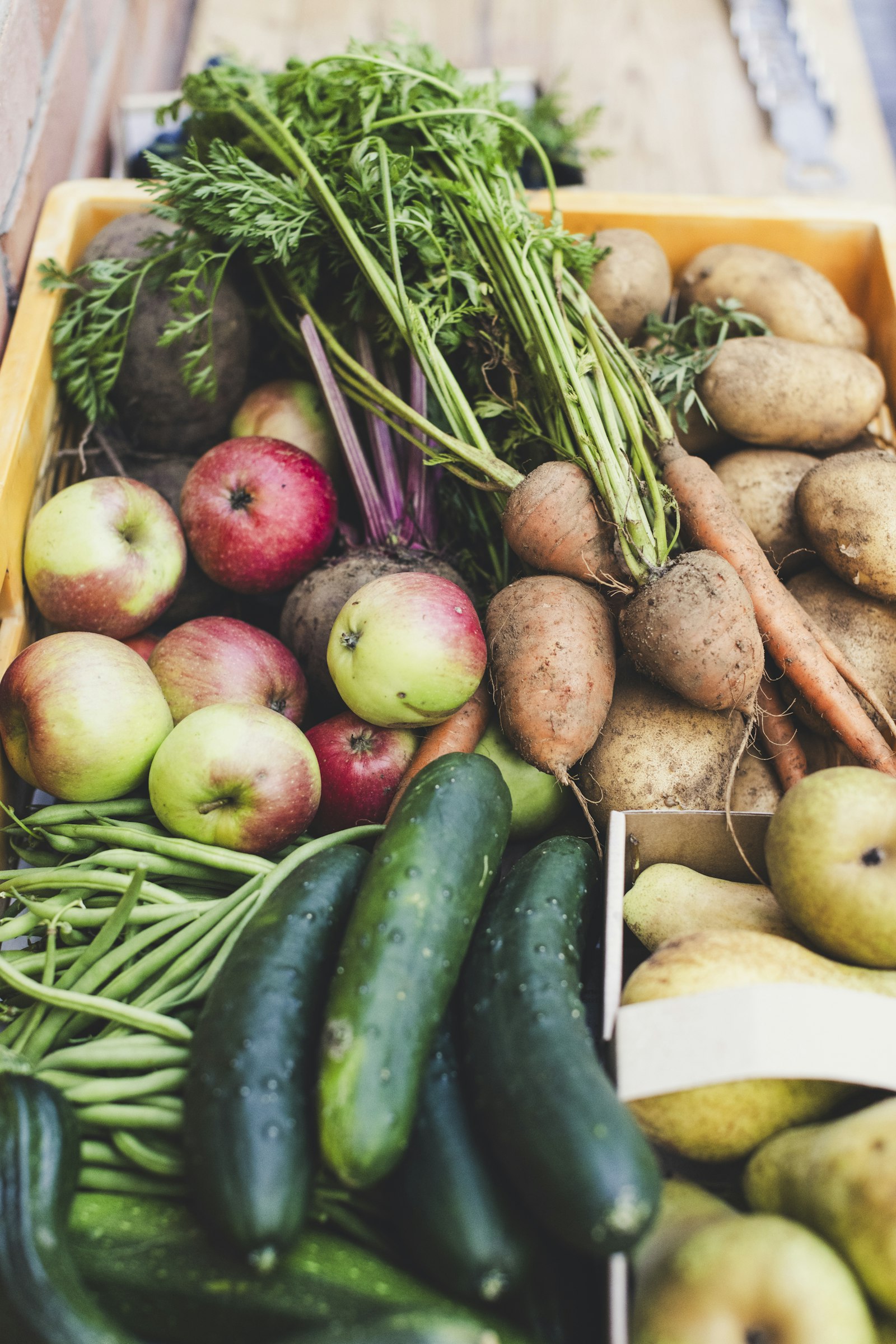 A produce box of carrots and apples