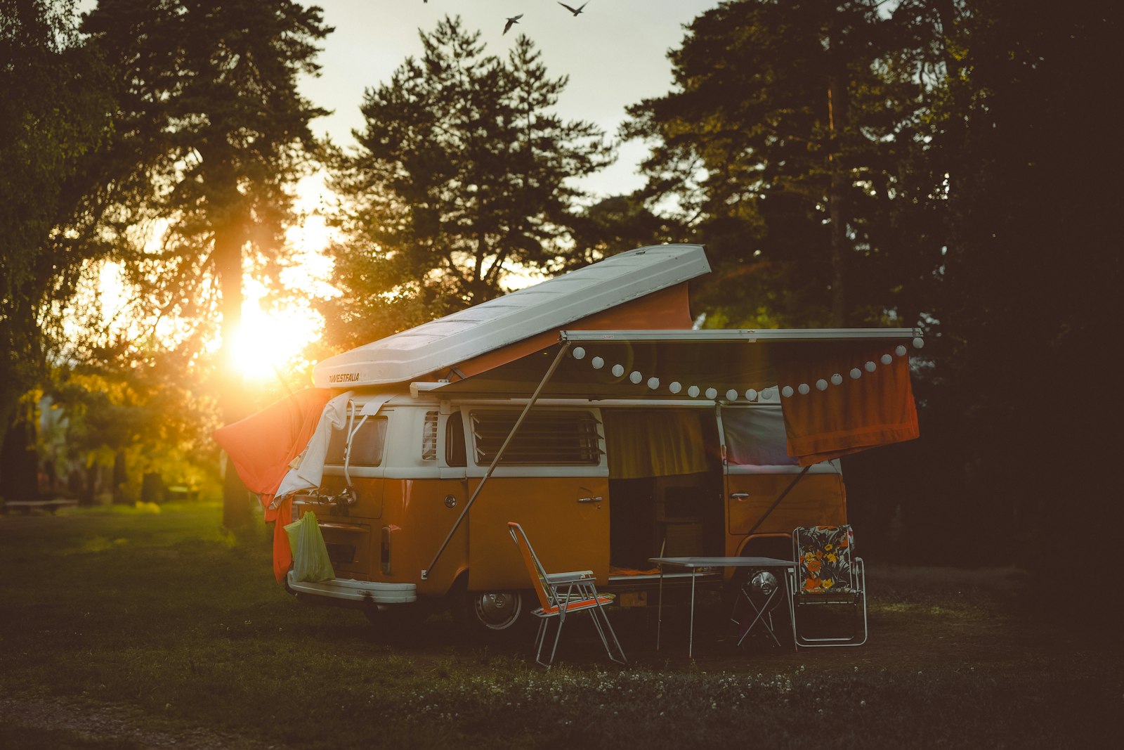 A camper with an awning and string lights at a woodland pitch