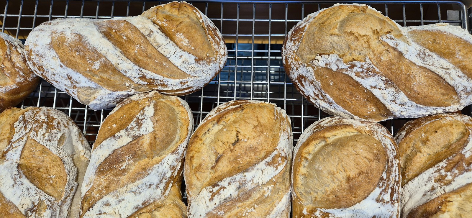Scored sourdough loaves cooling on a rack