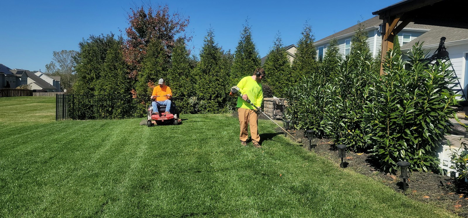 Two gardeners mowing and edging a lawn beside a tall hedge