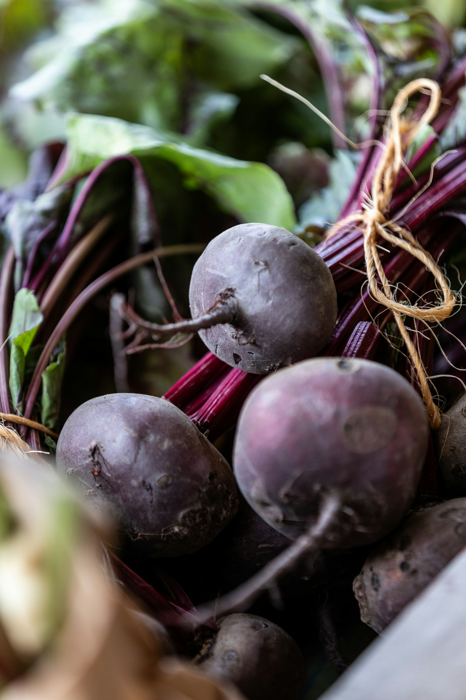 A bunch of beetroot tied with twine