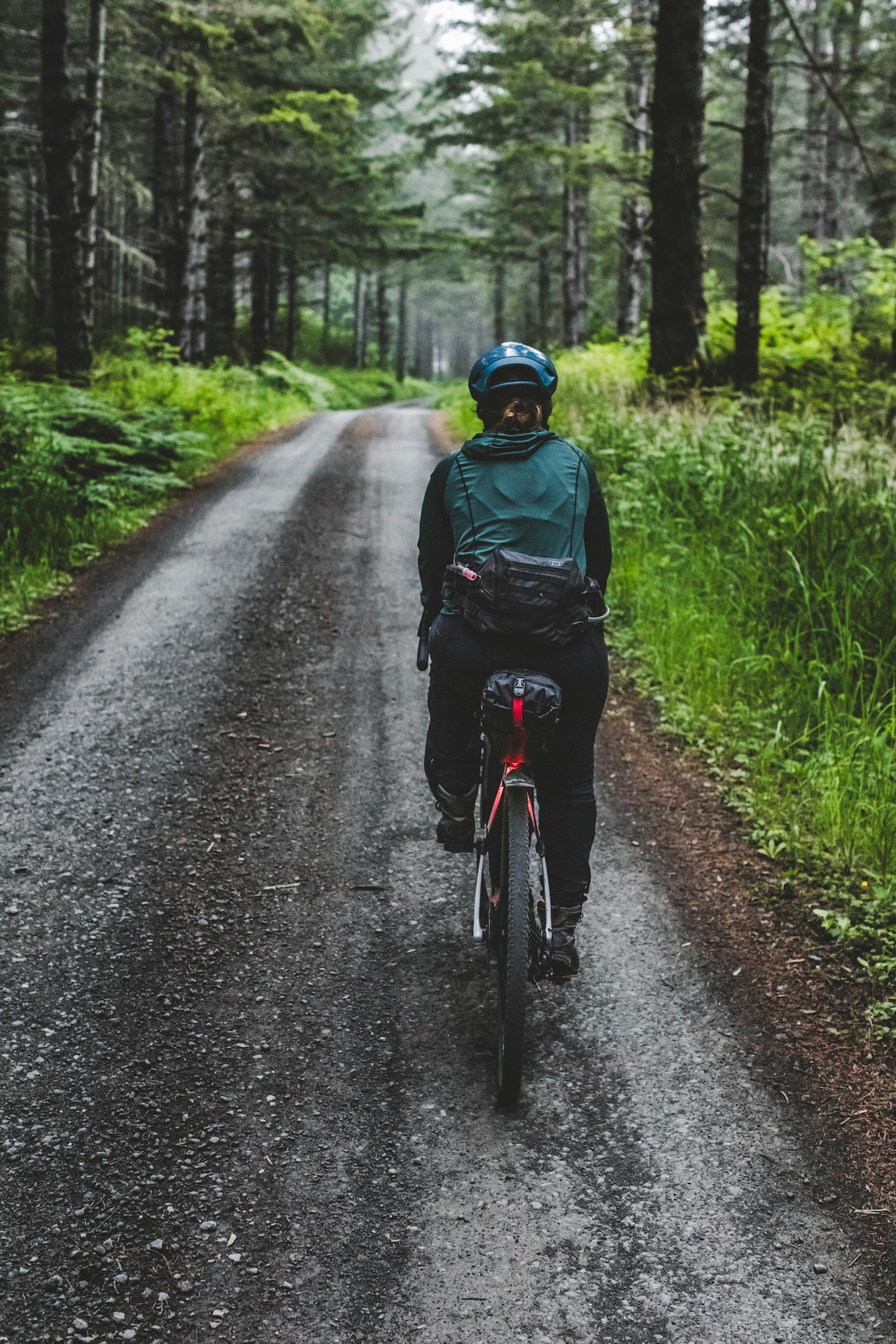 A cyclist on a wet gravel track through pine forest