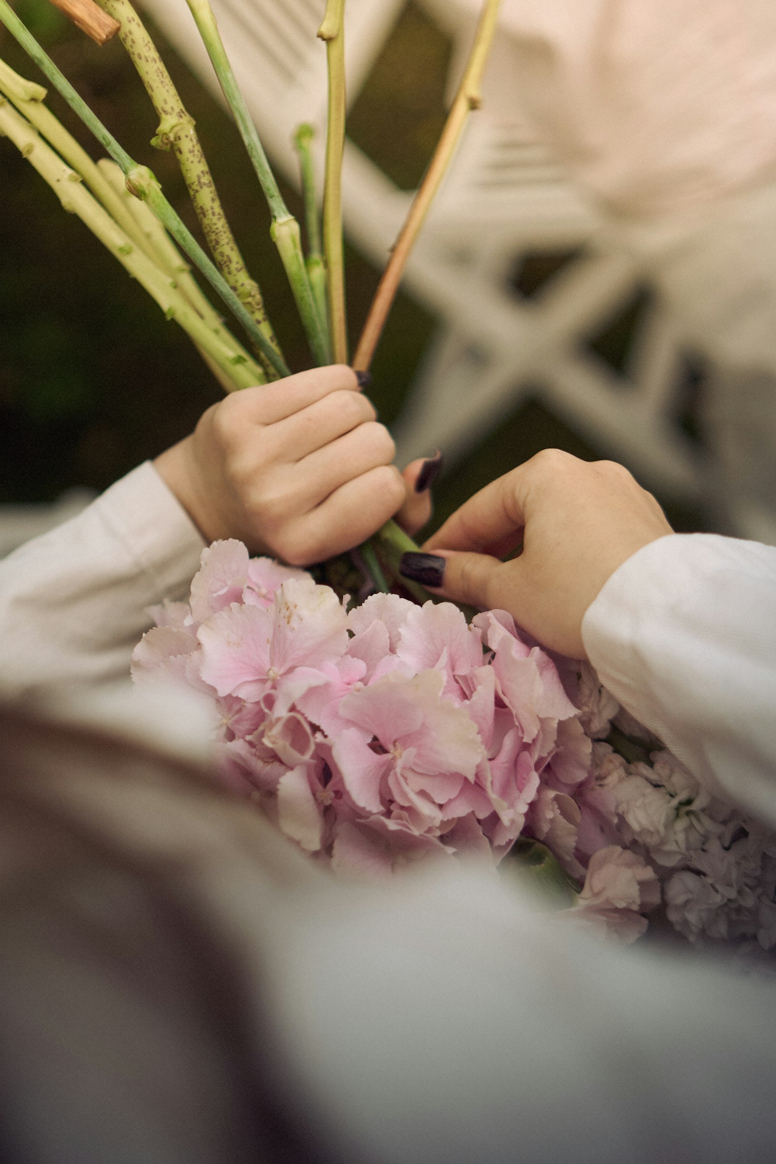 Hands gathering pink hydrangea stems