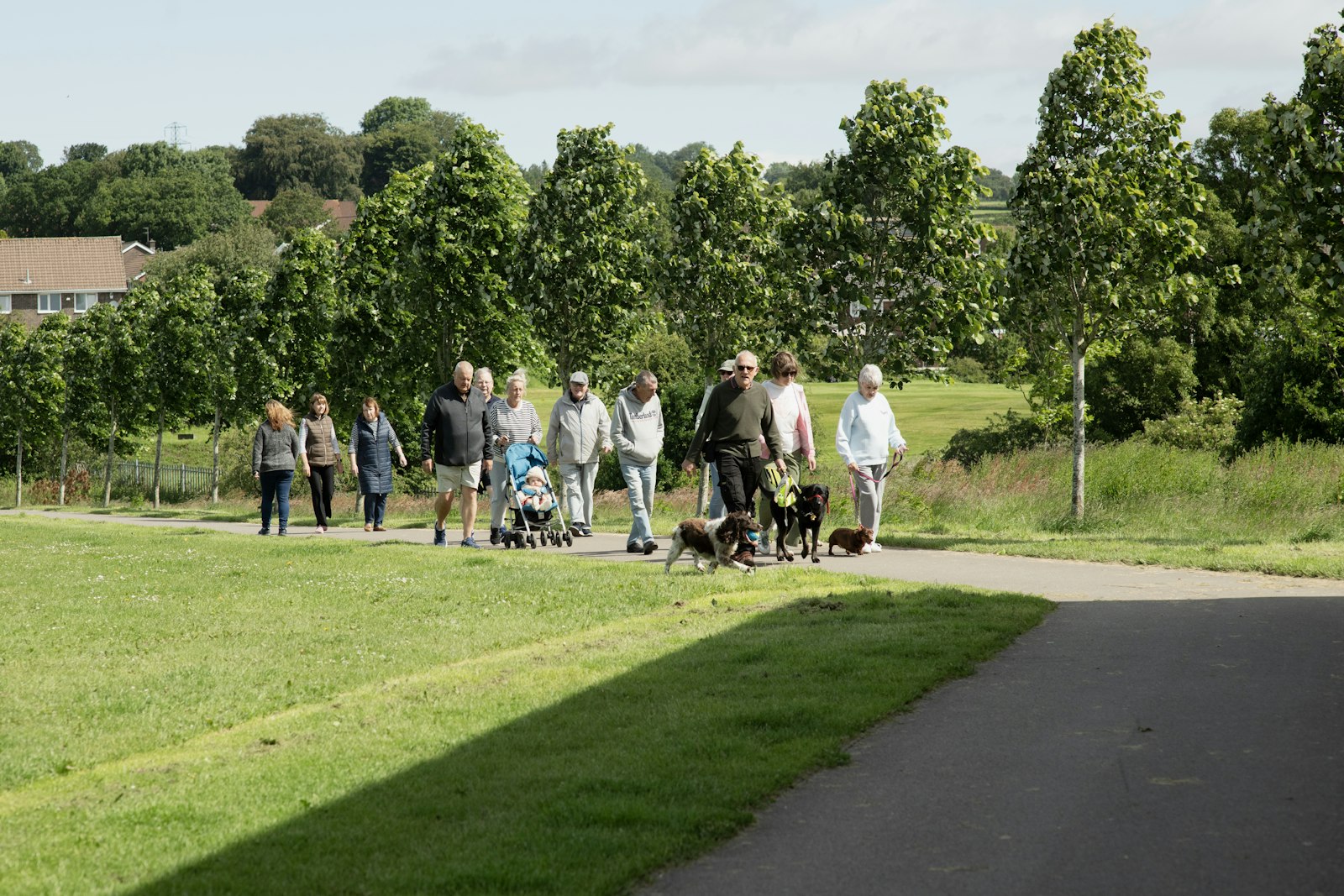 A group walk with dogs and a pushchair along a park path