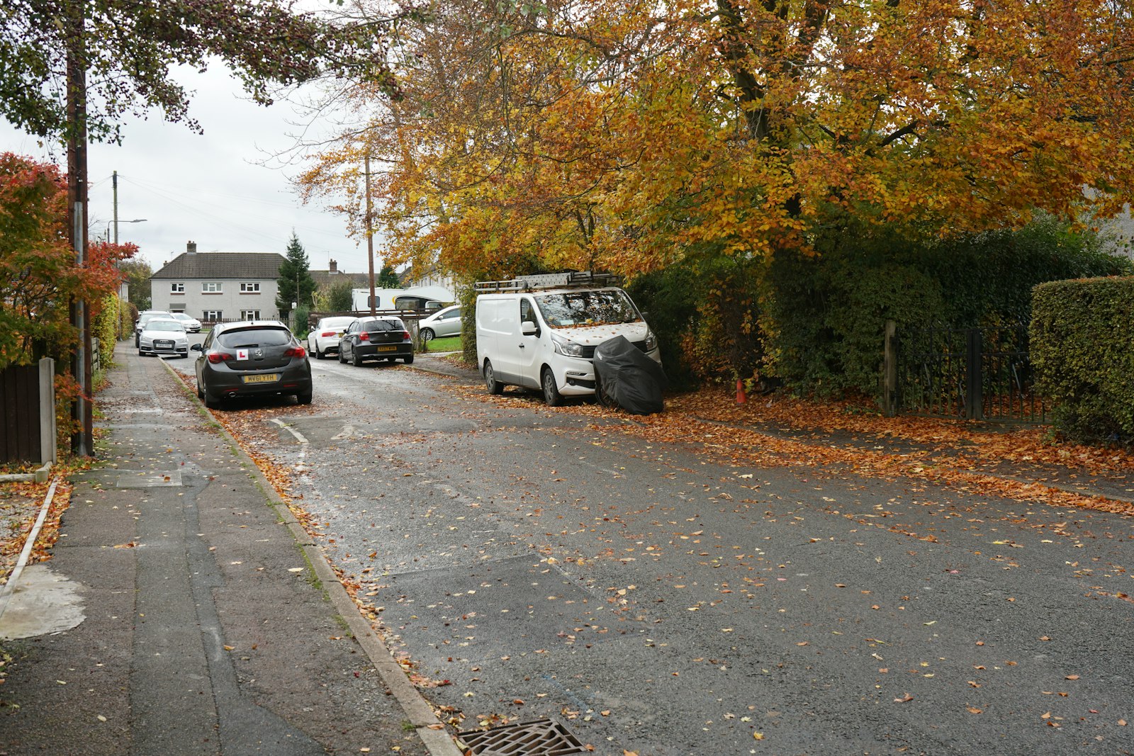 A quiet residential street with parked cars and autumn trees, the kind of road a first lesson starts on