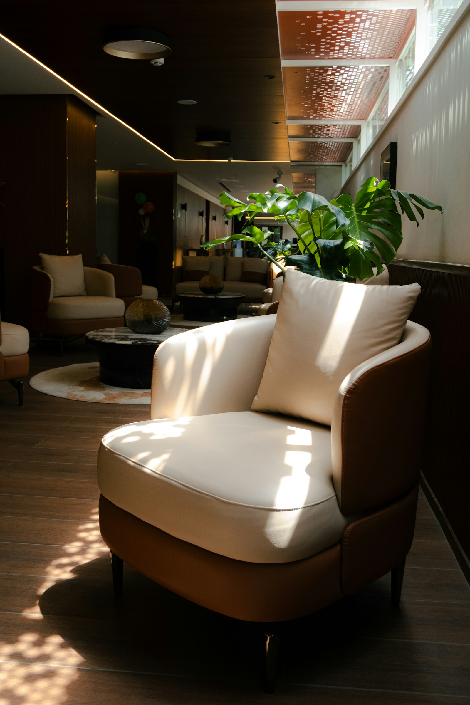 An armchair in a sunlit lounge